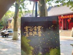 -灵谷景区