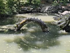 -汇龙潭