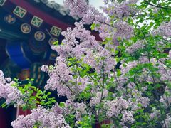 -西安市广仁寺