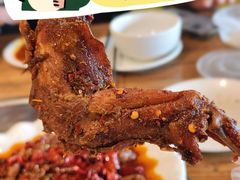 -老号尤兔头(幸福店)