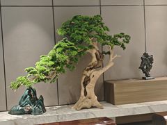 -青水瓦台汤泉(未央店)