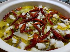 眉山老坛酸菜鲈鱼-青花椒花椒鱼(合生汇店)