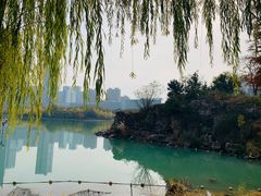 -天鹅湖体育公园