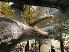 -湖南省地质博物馆