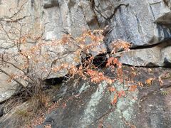 -燕子河大峡谷天坑仙境