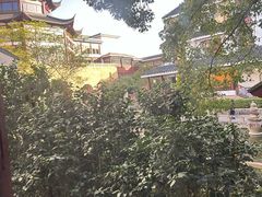 -苏州吴宫泛太平洋酒店