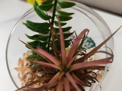 -码头见·潮汕菜(领展中心城店)