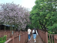 -柳州市动物园