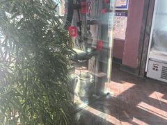 -大匠工房古船木艺术餐厅·猪肚鸡专门店(长白仙岛店)