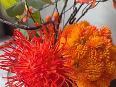 -百富源·海鲜辽菜(和平北大街店)