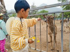 -西安秦岭野生动物园