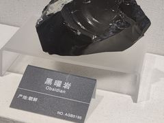 -安徽省地质博物馆