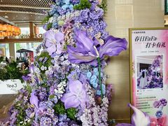 -KKV(东莞海德汇一城店)