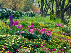 -上海共青森林公园