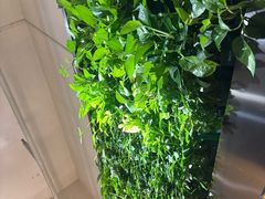 -巴奴毛肚火锅(广益哥伦布店)