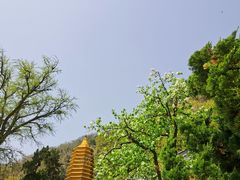 -天津盘山风景名胜区