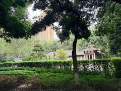 -龙头寺公园