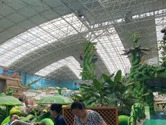 -望儿山温泉水乐园