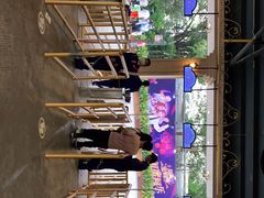 -广州长隆国际大马戏