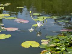 -国家植物园南园