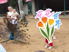 -秦皇岛野生动物园