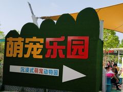 -百万葵园