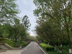 -重庆园博园