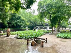 -绍兴鲁迅故里·沈园景区