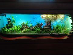 -太平洋海底世界