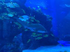 -成都浩海立方海洋公园