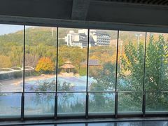 -徂徕山森林康养度假谷温泉