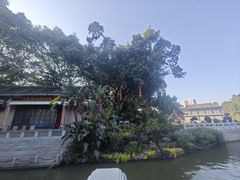 -荔湾湖公园