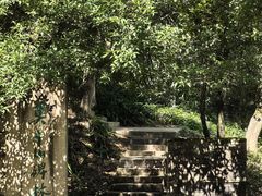 -莫干山风景区