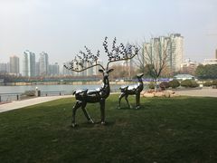 -西北湖绿化广场