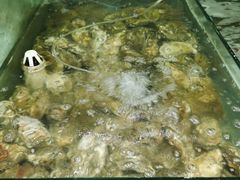 -雅逸居海鲜小厨