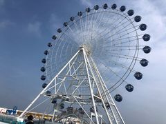 -秦皇岛乐岛海洋王国