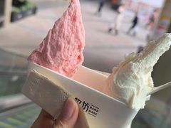 -野人先生现做冰淇淋(北京顺义祥云小镇店)