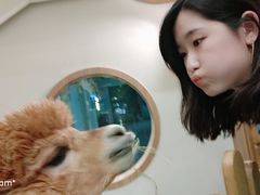 -藦茜花园宠物主题亲子互动体验馆(国顺东路店)