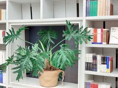 -二酉书店TOYOU BOOKS