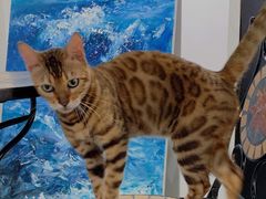 -一品格美术·中考高中成人美术培训