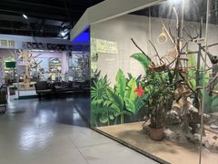 -上海大自然野生昆虫馆(东方明珠·爬宠昆虫探索中心)
