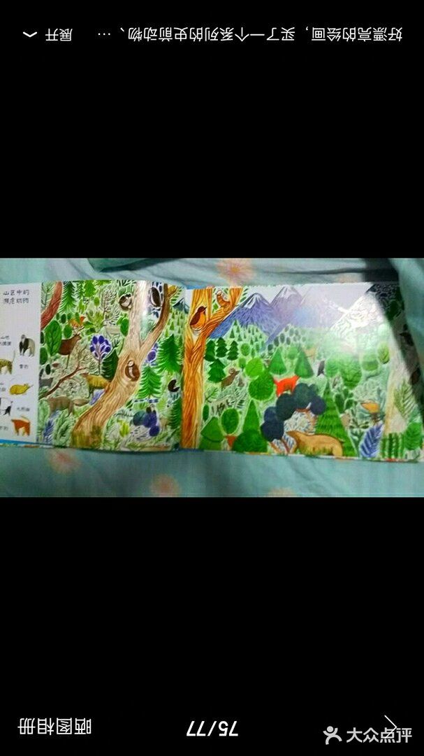 推荐给孩子的濒危动物手绘书[礼花]