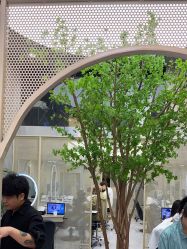 -DK SALON连锁专业烫染接发店