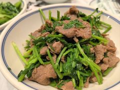 -壹盏灯(惠农店)