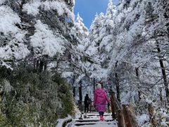 -峨眉山风景名胜区