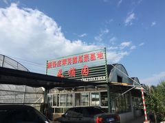 -庞各庄翠芳园西瓜蔬菜基地采摘园