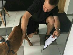 -荣耀金沙动物医院(清江西路店)