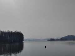 -东湖落雁景区
