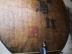 -乌镇东栅景区