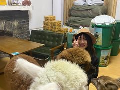 -猫色咖啡·猫咖